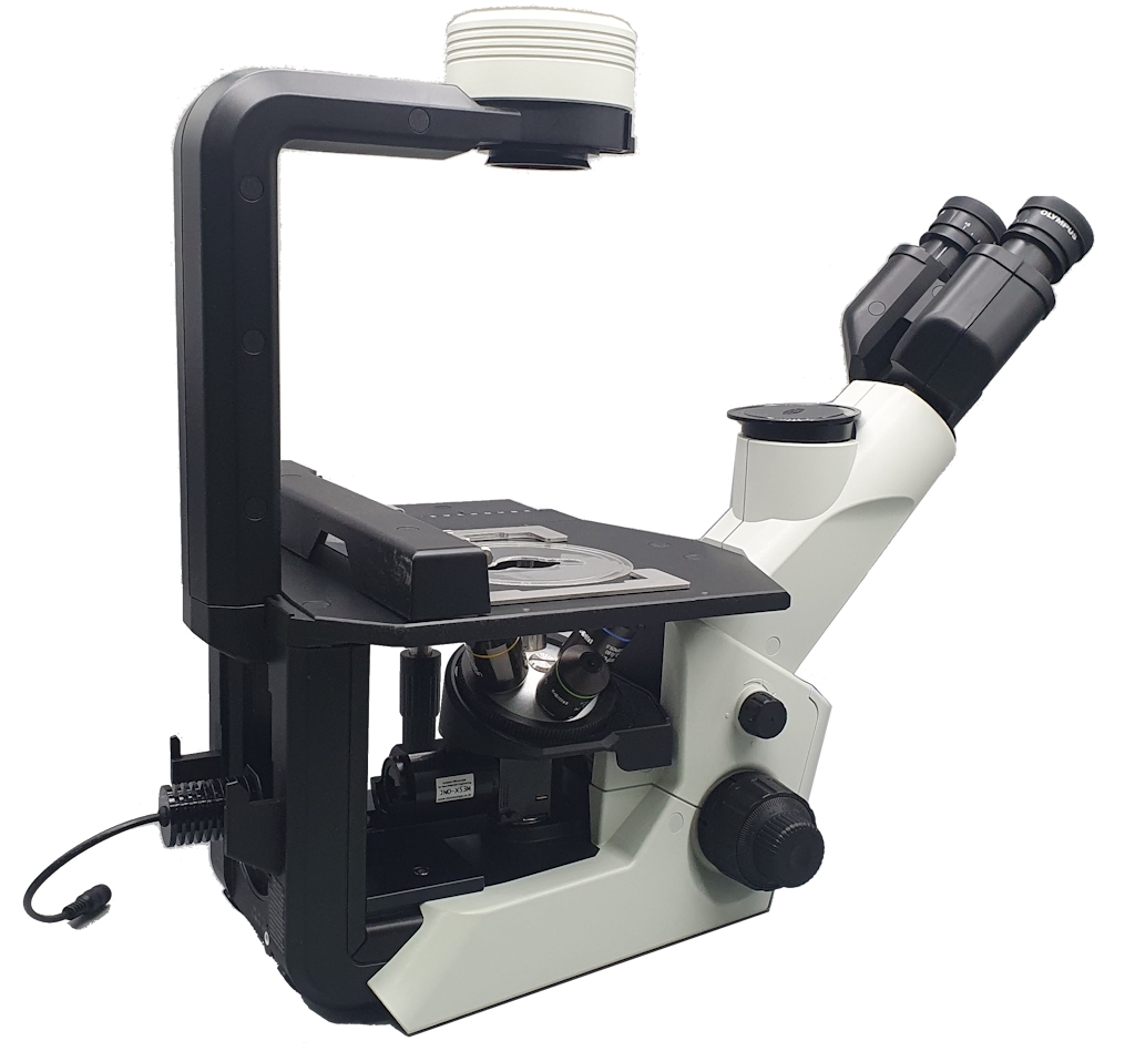 JNO-CKX53M
For Department of Materials Science and Engineering