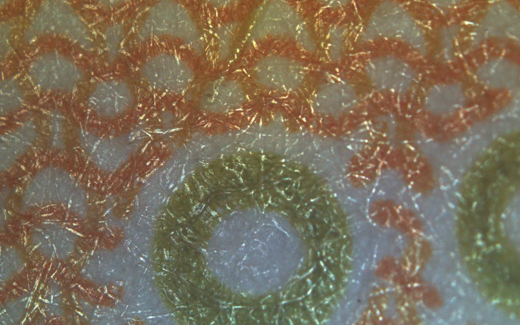 Simultaneous observation of fluorescence microscopy and bright field microscopy
(동시관찰) 5만원 지폐의 표면의 명시야 관찰 (Image taken with AcquCAM 23GR2)