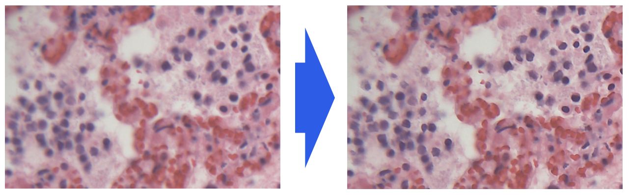 You can observe and obtain sharp images by applying the sharpness function even when the live video output