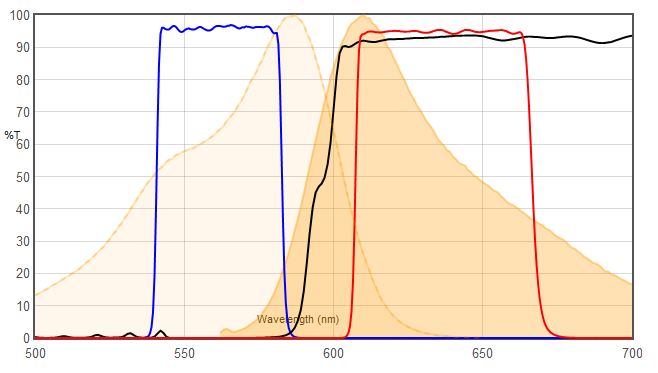 mCherry VS JNO-R1(B)