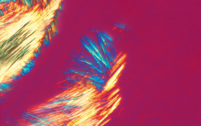 단순 편광(Simple Polarized)