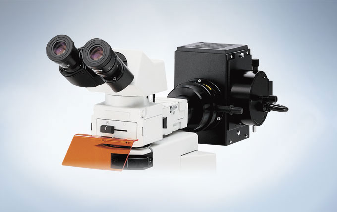 Reflected_light_fluorescence