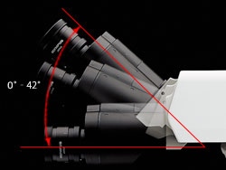 Observation Tube 조절