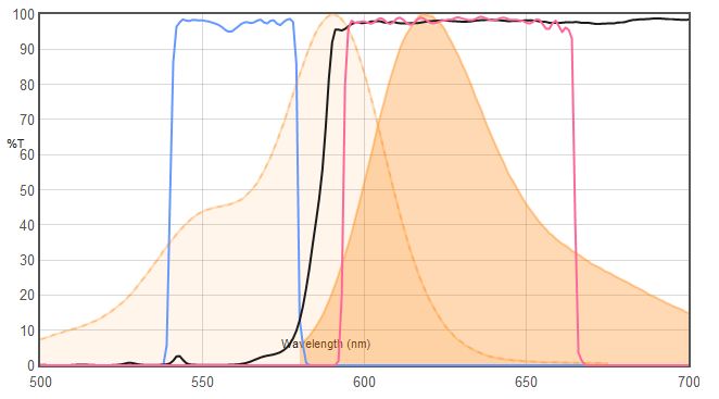 Alexa Fluor 594 VS 49008