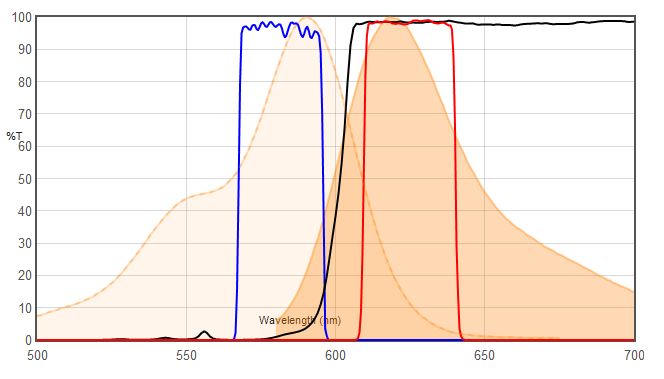 Alexa Fluor 594 VS 49306