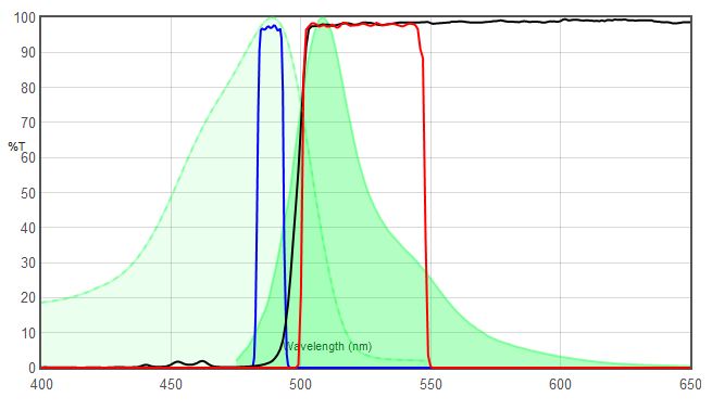 GFP VS 49904