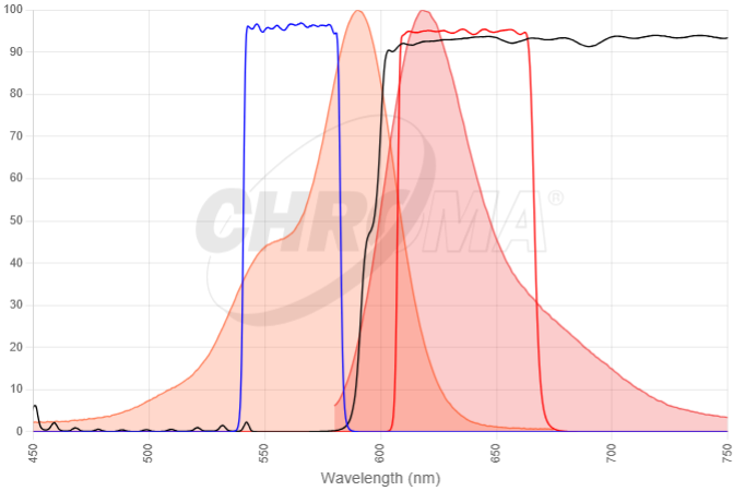 Alexa Fluor 594 VS 39010