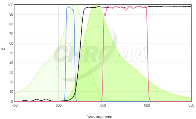 AlexaFluor 514 VS 49906