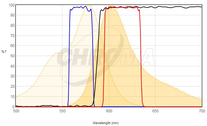 AlexaFluor 568 VS 49031