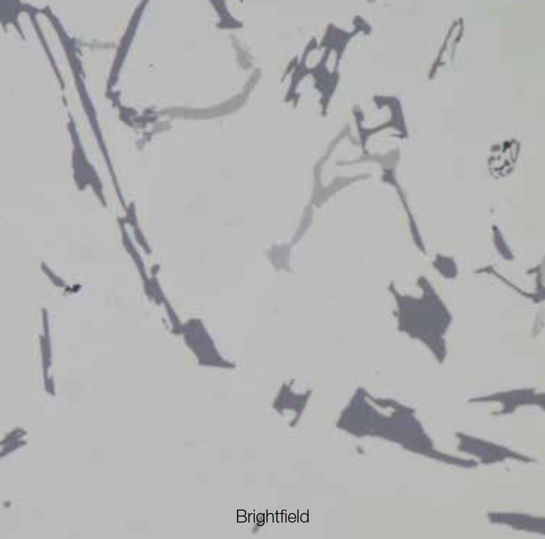 Bright Filed Image with BX53M