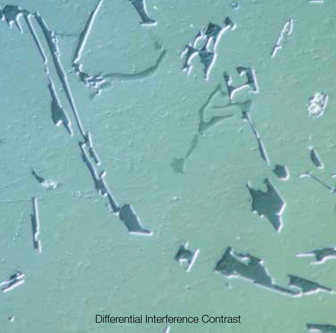 DIC Image with BX53M