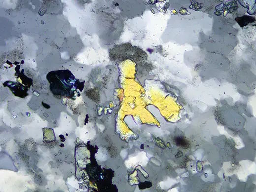 Dark Filed Image with BX53M