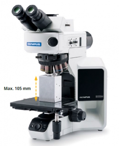 Flexibility for Sample Height and Weight